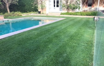 Hamma's Landscaping & Design