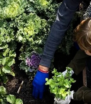 Bonnyrigg Garden Centre