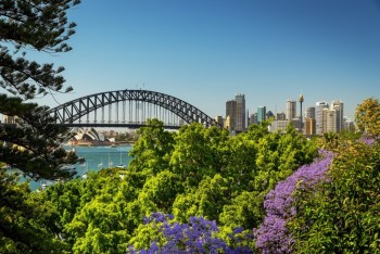 Sydney Landscape Consultants