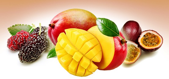 Gilbert's Wholesale Nursery