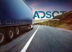 Searching for the professional transport services?