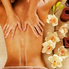 Apricot Forest Health Chinese Medicine