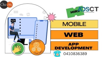 Hire ChicMic is building a custom financial software that can help your business