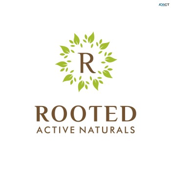 Buy organic mushroom powder and capsules at Rooted Actives