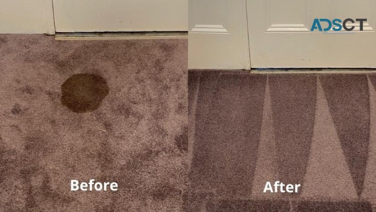 Carpet Cleaning Melbourne