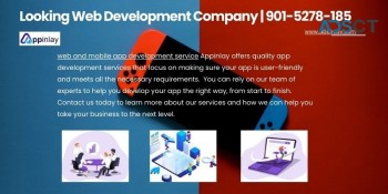 Looking Web Development Company | 901-5278-185