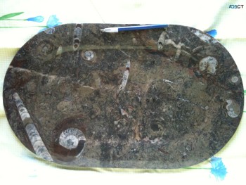 Fossilized Marble Dish & Plate