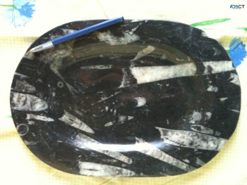 Fossilized Marble Dish & Plate