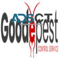 Goode Flea Control Brisbane