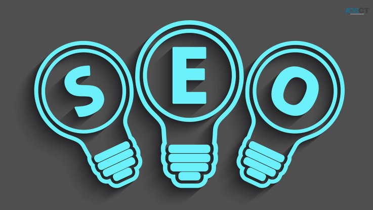 An amazing family of SEO solutions for every need.