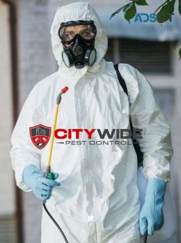 City Wide Pest Control Adelaide