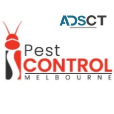 I Bed Bug Control Melbourne