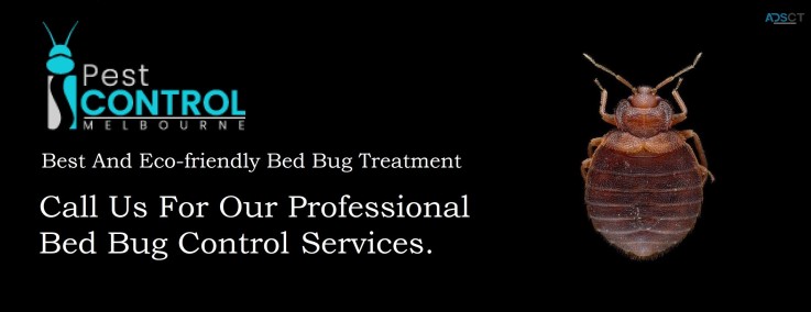 I Bed Bug Control Melbourne