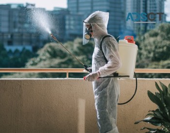  Pest Control | Termite Treatment & Inspection Services in Sydney