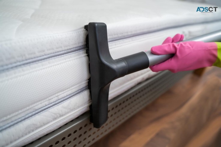 Mattress Cleaning Ipswich