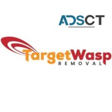 Target Wasp Removal Brisbane