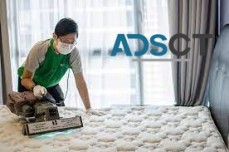 Mattress Sanitising Brisbane | Professional Mattress Cleaners