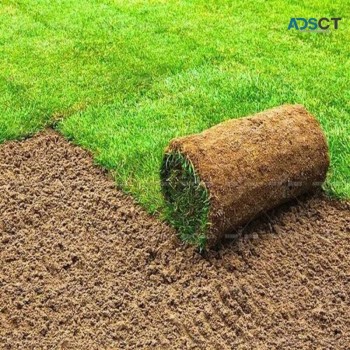 Turf Installation Melbourne