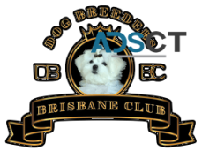 How to become a Dog Breeder QLD