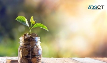 Standard Online Finance Company Limited