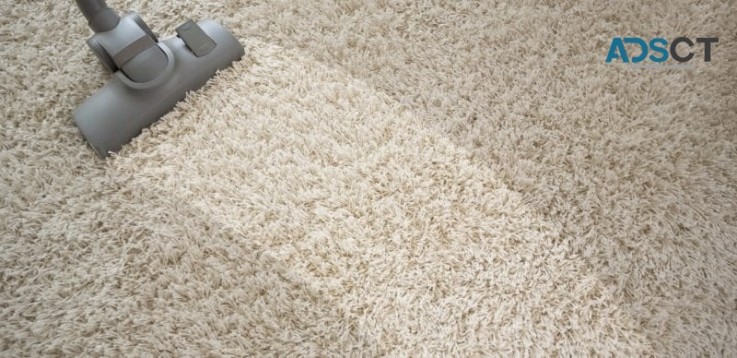 City Carpet Cleaning Brisbane