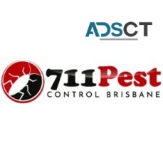 711 Rodent Control Brisbane