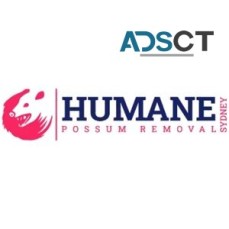 Humane Possum Removal Burwood