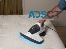 Mattress Dust Mites Treatment Gold Coast | Mattress Dust Mite Removal Treatment