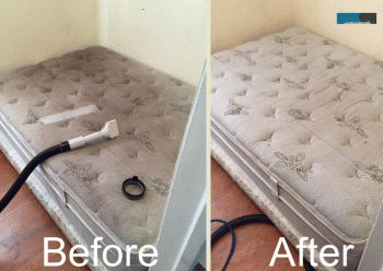 711 Mattress Cleaning Sydney