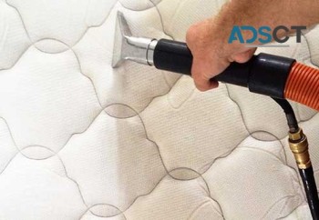 711 Mattress Cleaning Sydney