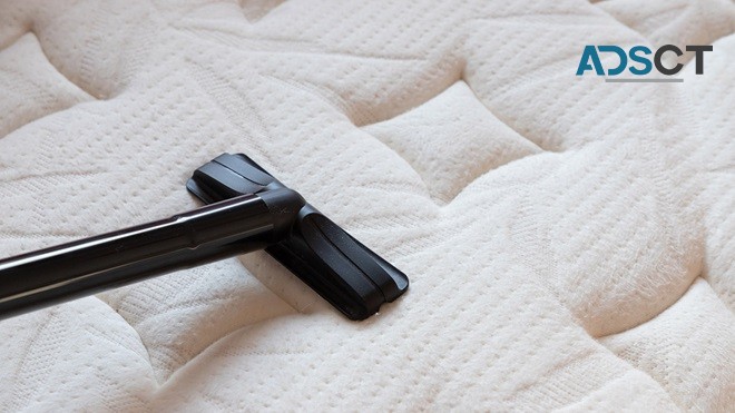 711 Mattress Cleaning Sydney