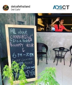 Cannabis Cafe (Licensed)