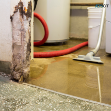 Looking For Flood Repair and Flood Restoration Canberra Service?