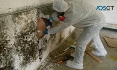 Looking For Flood Repair and Flood Restoration Perth Service?