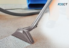 Looking For Flood Repair and Flood Restoration Sydney Service?