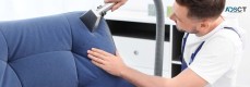 CBD Upholstery Cleaning Springfield Lakes