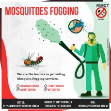Mosquito Pest Control Services in Perth