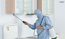 Pest Control In Logan City Is A Growing Concern For Homeowners& Businesses-best Carpet