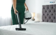 Professional mattress cleaning in albany creek