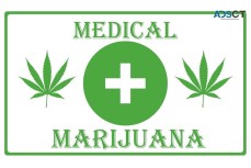 medical cannabinoids gold coast