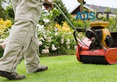 Professional NDIS Gardening Service provider in Melbourne