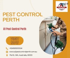 Perth Ant Control Treatment- Advice - Inspection