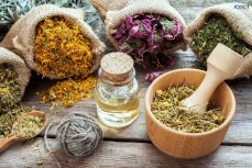 Why Choosing Herbs Online Is the Way to 