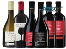 Get Natural Wine Brands at the Best Pric