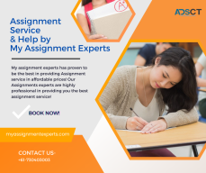 Assignment service and help by My Assign