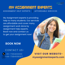 Assignment Help Experts