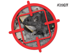 Zapem Pest Management