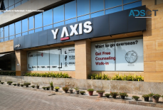 Immigration & Visa Consultants