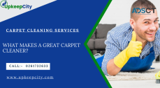 Carpet Cleaner