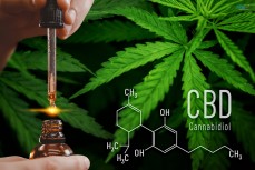 The Benefits of Cannabidiol Oil | CBD Oil Uses